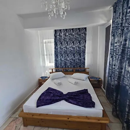 ホステル Pensiunea Mary エフォリエ・ノルド