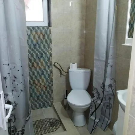 ホステル Pensiunea Mary *